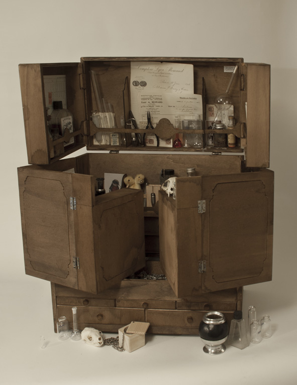 Cabinet_de_curiositE_XL_03.jpg